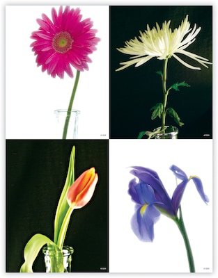 Generic Assorted Postcards; for Laser Printer; Flowers, 100/Pk