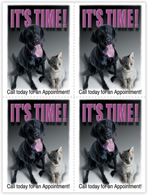 Photo Image Laser Postcards; Labrador and Kitten, Its Time, 100/Pk