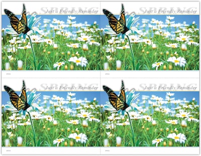 Generic Postcards; for Laser Printer; Butterfly Daisy Field, 100/Pk