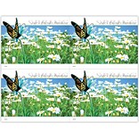 Generic Postcards; for Laser Printers; Butterfly Daisy Field