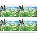 Generic Postcards; for Laser Printer; Butterfly Daisy Field, 100/Pk