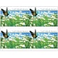 Generic Postcards; for Laser Printer; Butterfly Daisy Field