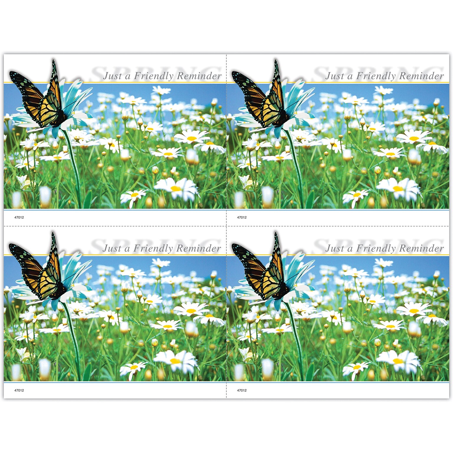 Generic Postcards; for Laser Printer; Butterfly Daisy Field, 100/Pk