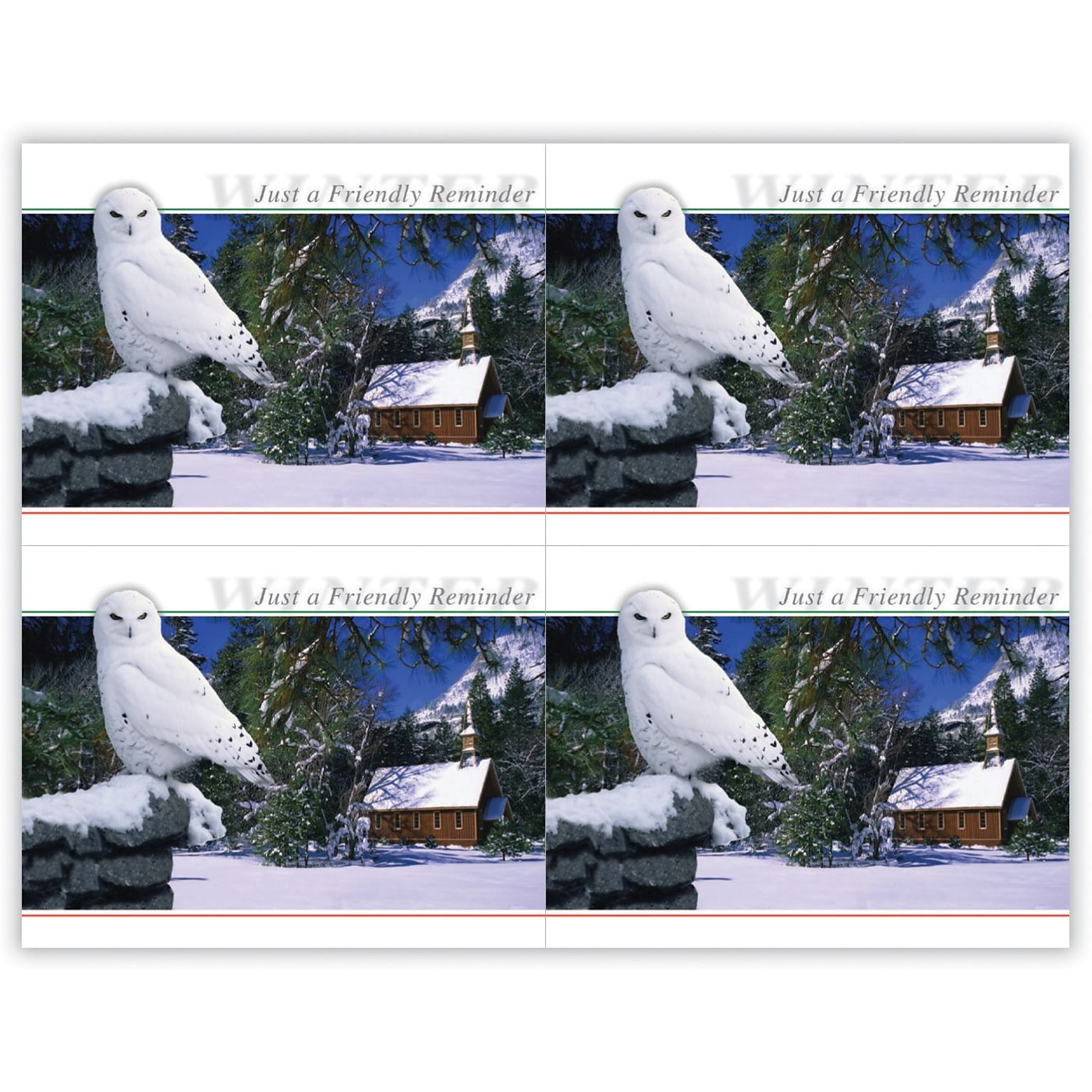 Generic Postcards; for Laser Printer; Owl in Tree, 100/Pk