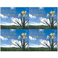 Generic Postcards; for Laser Printer; Flowers and Sky, 100/Pk