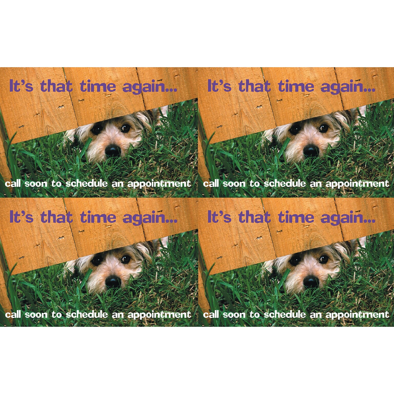 Humorous Postcards; for Laser Printer; Dog Under Fence, 100/Pk