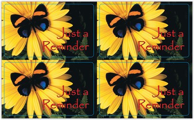 Generic Postcards; for Laser Printer; Butterfly, 100/Pk