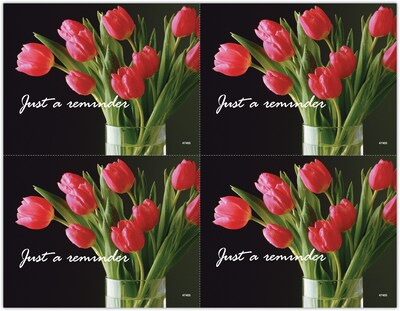 Generic Postcards; for Laser Printer; Red Tulips, 100/Pk