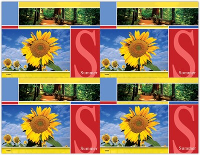 Generic Postcards; for Laser Printer; Summer Scene, 100/Pk