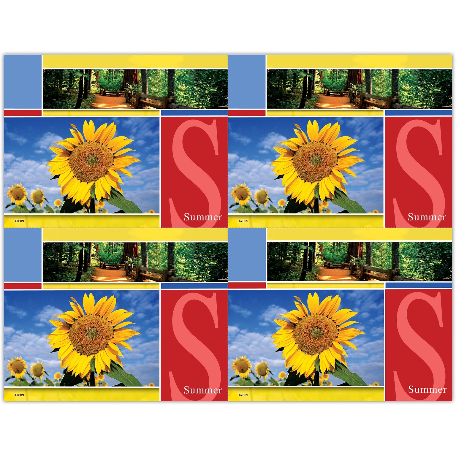 Generic Postcards; for Laser Printer; Summer Scene, 100/Pk