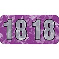 Medical Arts Press® Holographic End-Tab Year Labels; 2018, Violet