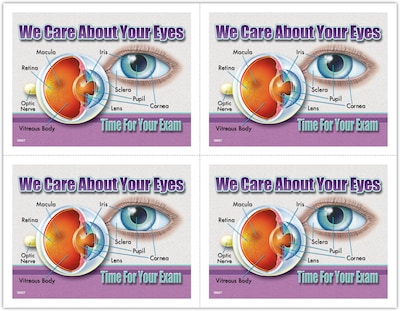 Photo Image Postcards; for Laser Printer; About Eyes Diagram, 100/Pk