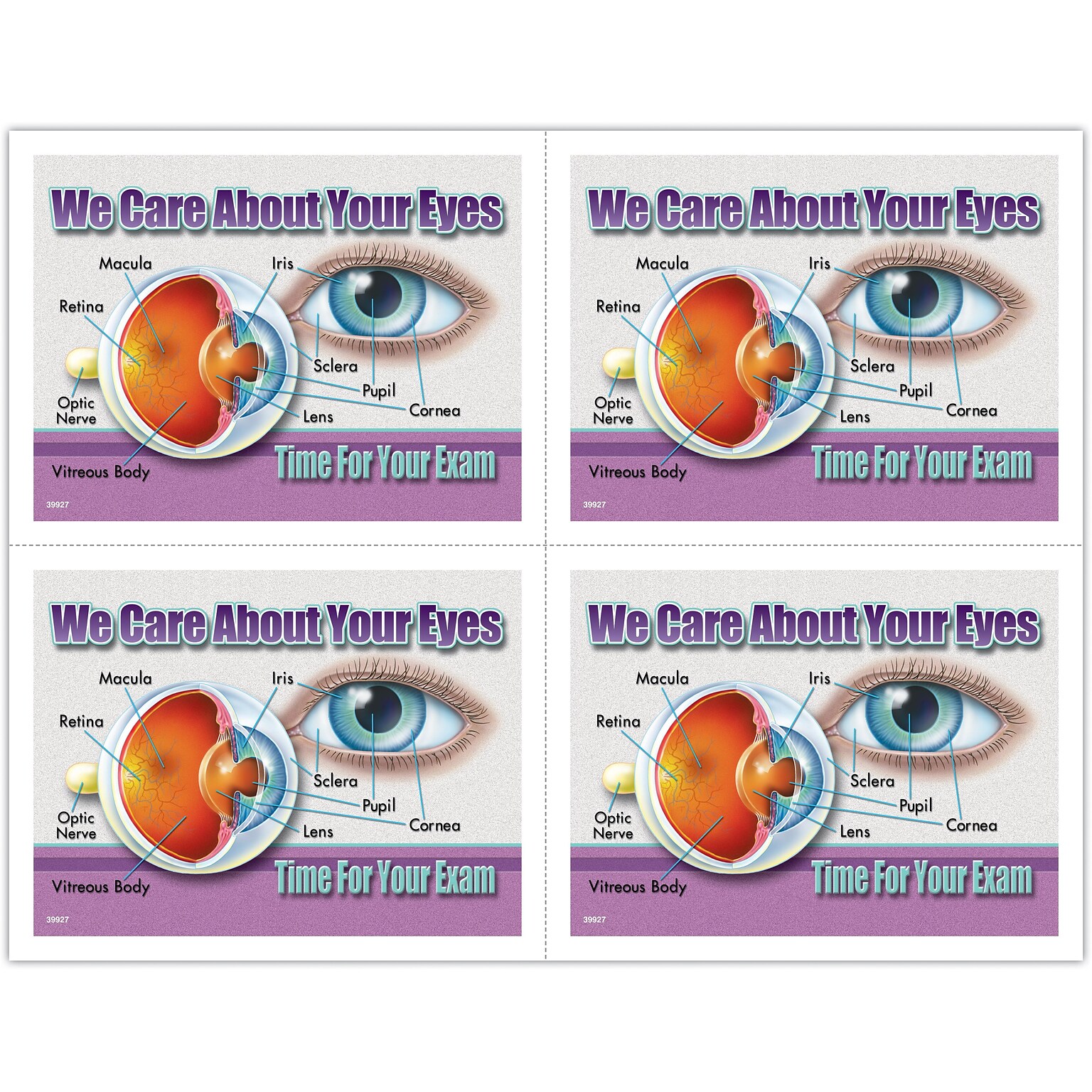 Photo Image Postcards; for Laser Printer; About Eyes Diagram, 100/Pk