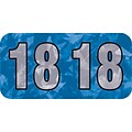 Medical Arts Press® Holographic End-Tab Year Labels; 2018, Blue