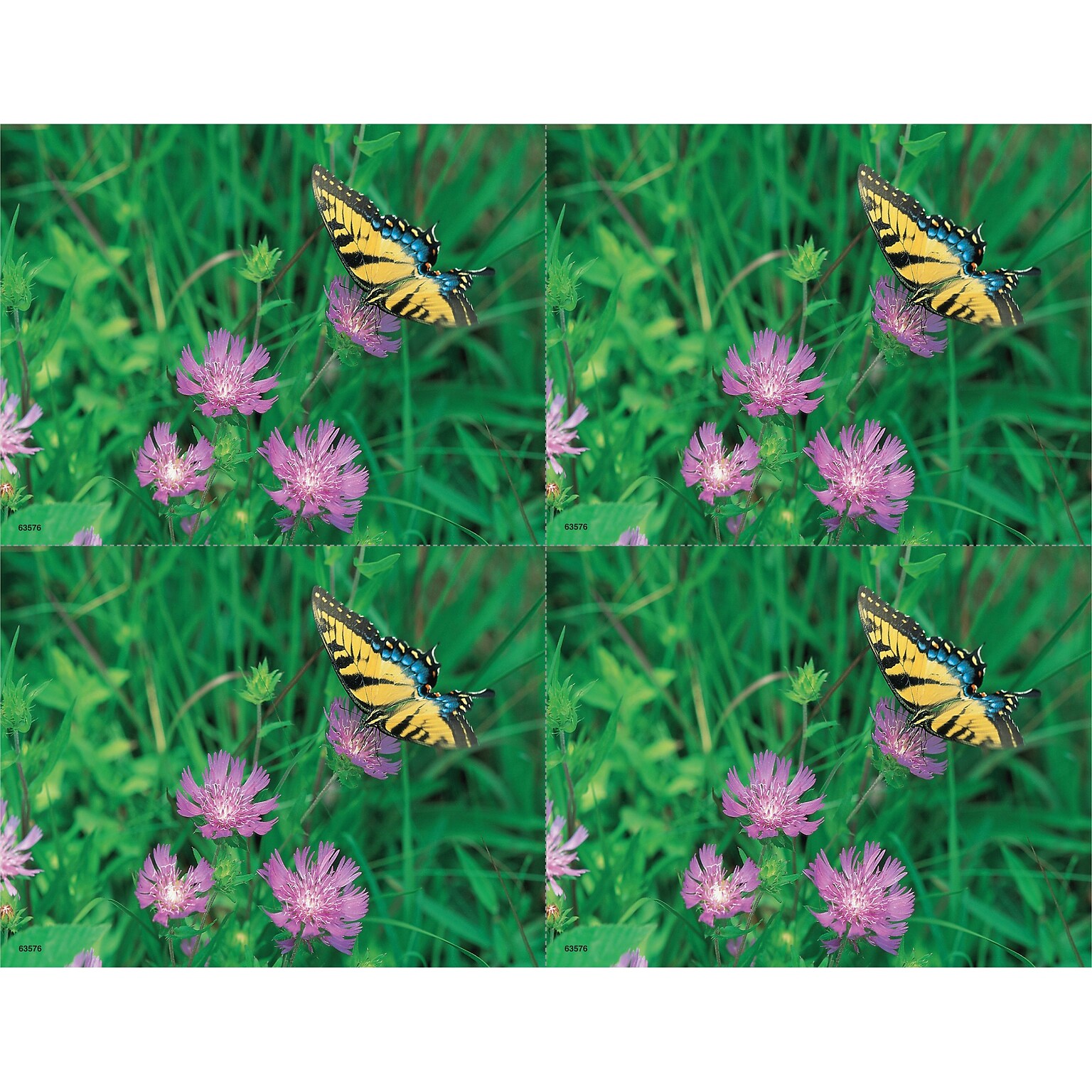 Scenic Postcards; for Laser Printer; Butterfly/Flower, 100/Pk