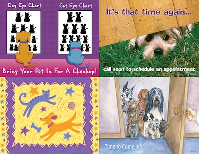 Veterinary Assorted Postcards; for Laser Printer; Time Again, 100/Pk