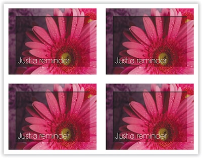 Generic Postcards; for Laser Printer; Pink Daisy, 100/Pk