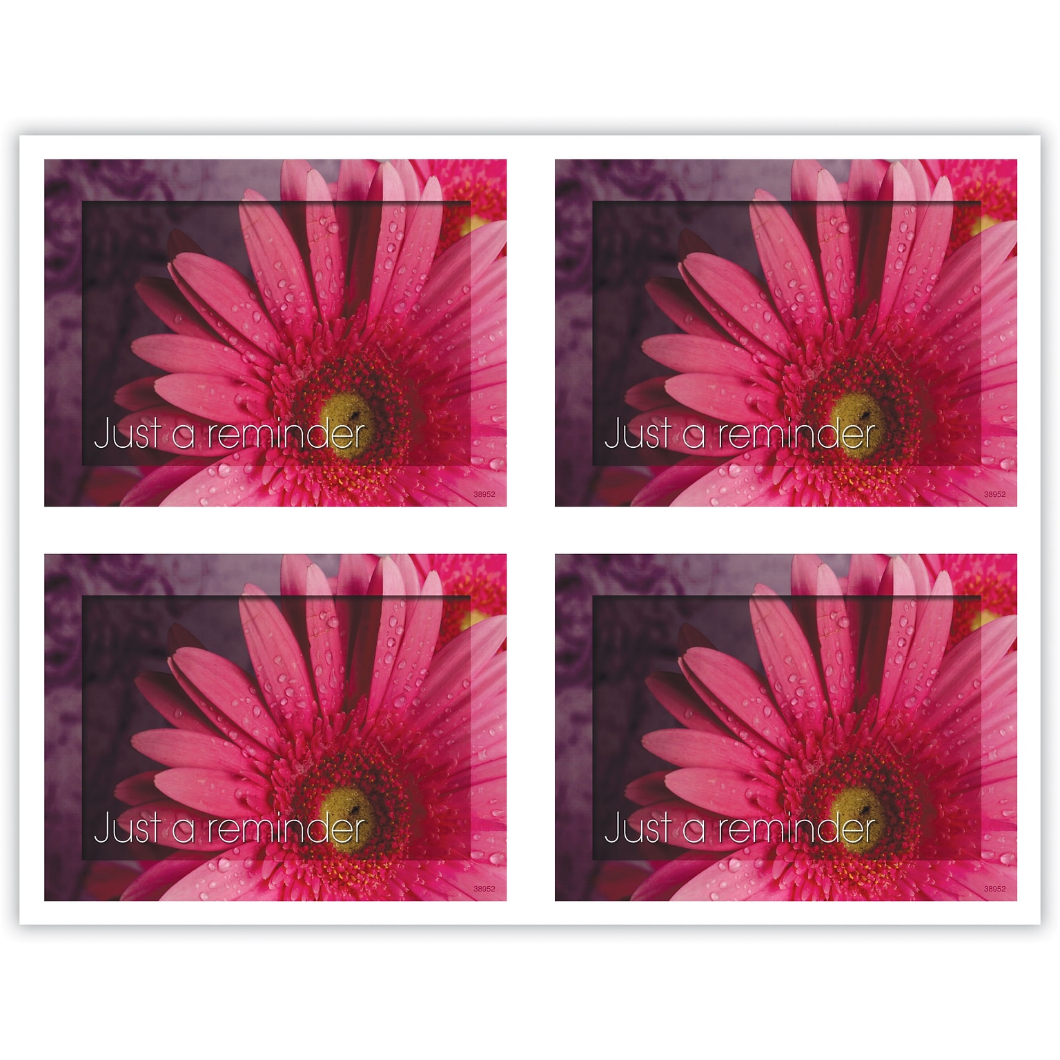 Generic Postcards; for Laser Printer; Pink Daisy, 100/Pk