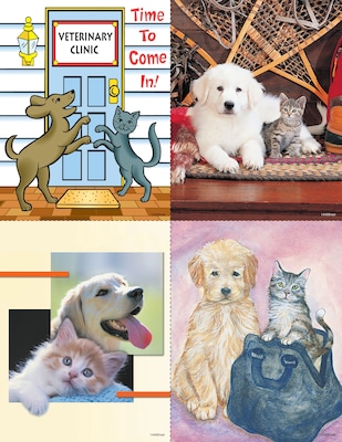Veterinary Assorted Postcards; for Laser Printer; Treatment Reminder, 100/Pk