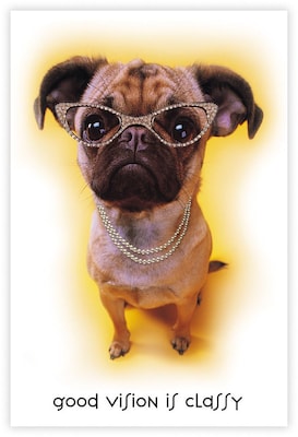 Humorous Laser Postcards; Dog with Glasses, 100/Pk