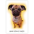 Humorous Laser Postcards; Dog with Glasses, 100/Pk