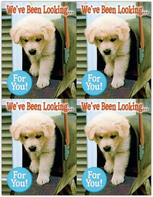 Photo Image Postcards; for Laser Printer; Dog in Mailbox, 100/Pk