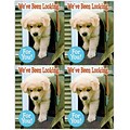 Photo Image Postcards; for Laser Printer; Dog in Mailbox, 100/Pk