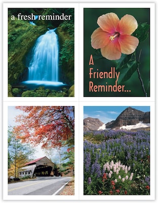 Generic Assorted Postcards; for Laser Printer; Scenic Assortment, 100/Pk