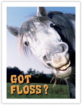Humorous Postcards; for Laser Printer; Horse Got Floss?, 100/Pk