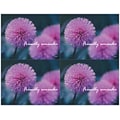 Generic Postcards; for Laser Printer; Thistle Flower, 100/Pk