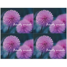 Generic Postcards; for Laser Printer; Thistle Flower, 100/Pk