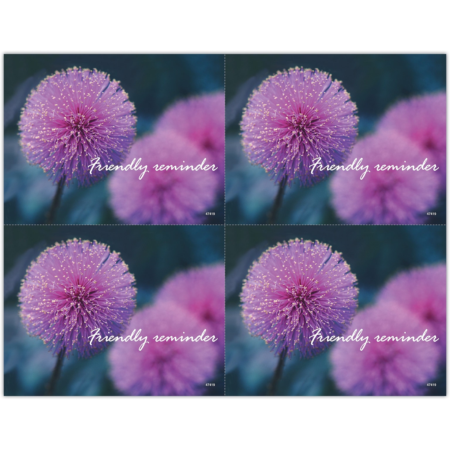 Generic Postcards; for Laser Printer; Thistle Flower, 100/Pk