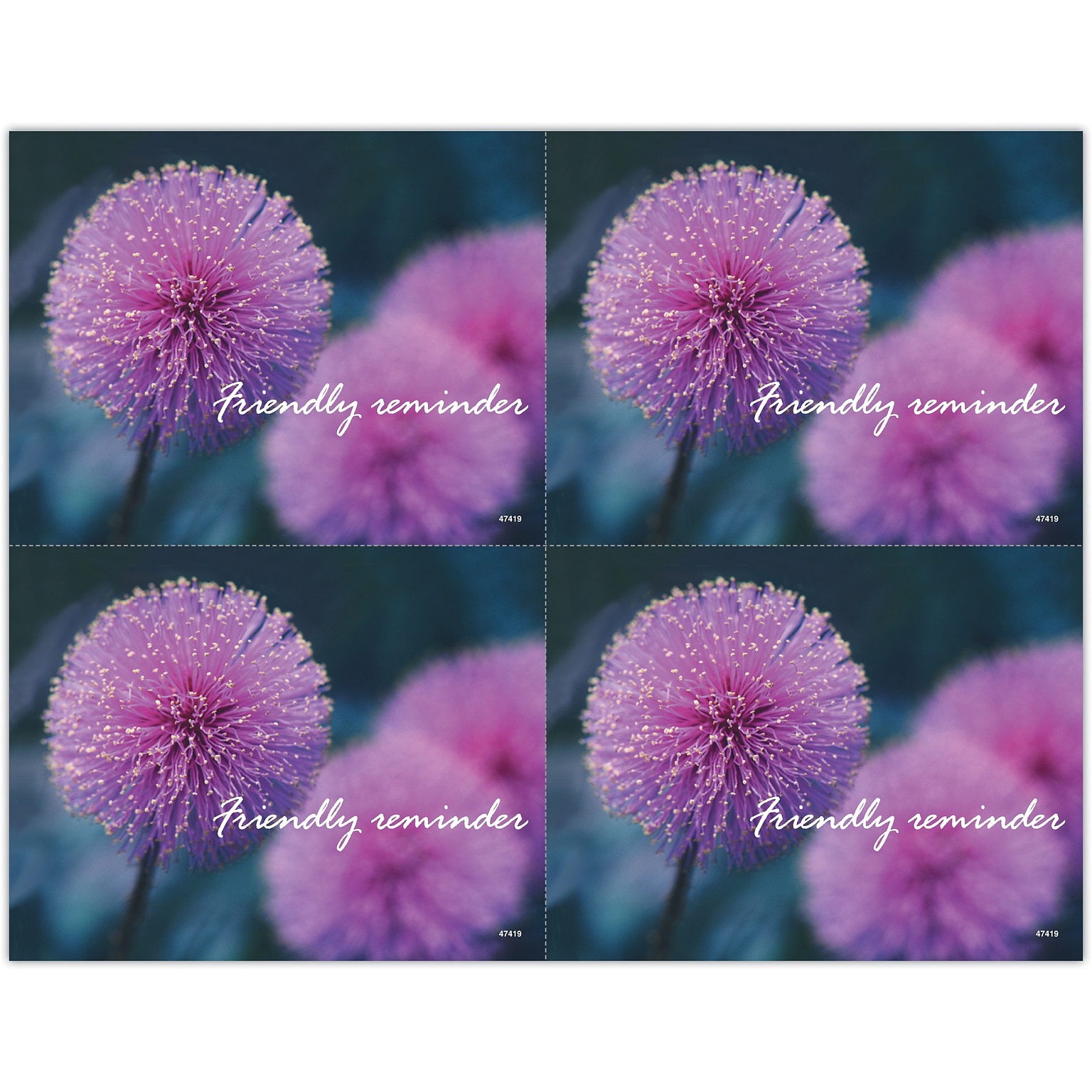 Generic Postcards; for Laser Printer; Thistle Flower, 100/Pk