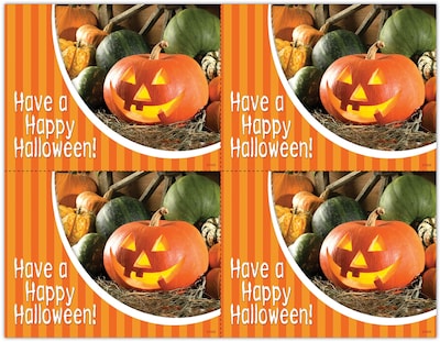 Photo Image Postcards; for Laser Printer; Halloween, 100/Pk