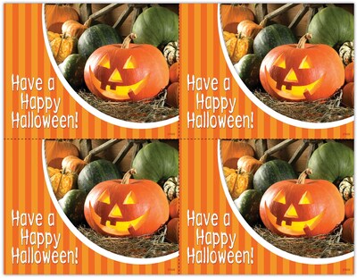 Photo Image Postcards; for Laser Printer; Halloween, 100/Pk