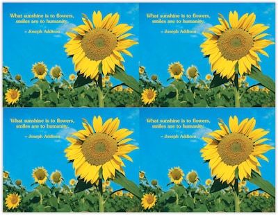 Generic Postcards; for Laser Printer; Sunflower Field, 100/Pk