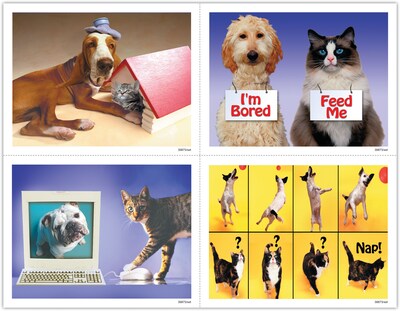 Veterinary Assorted Postcards; for Laser Printer; Funny Pets, 100/Pk