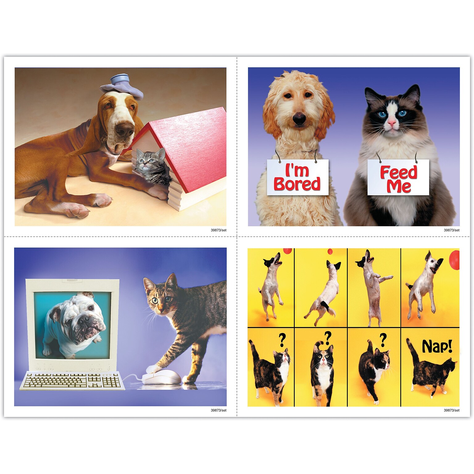 Veterinary Assorted Postcards; for Laser Printer; Funny Pets, 100/Pk