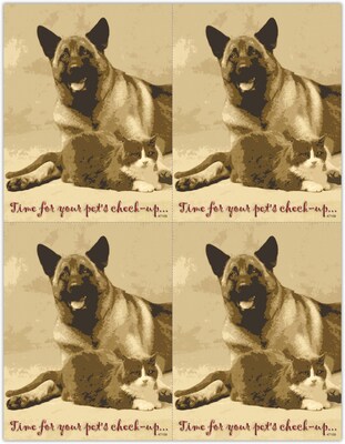 Veterinary Postcards; for Laser Printer; Time for Pets Check-up, 100/Pk