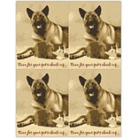 Veterinary Postcards; for Laser Printer; Time for Pets Check-up