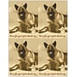 Veterinary Postcards; for Laser Printer; Time for Pet's Check-up, 100/Pk