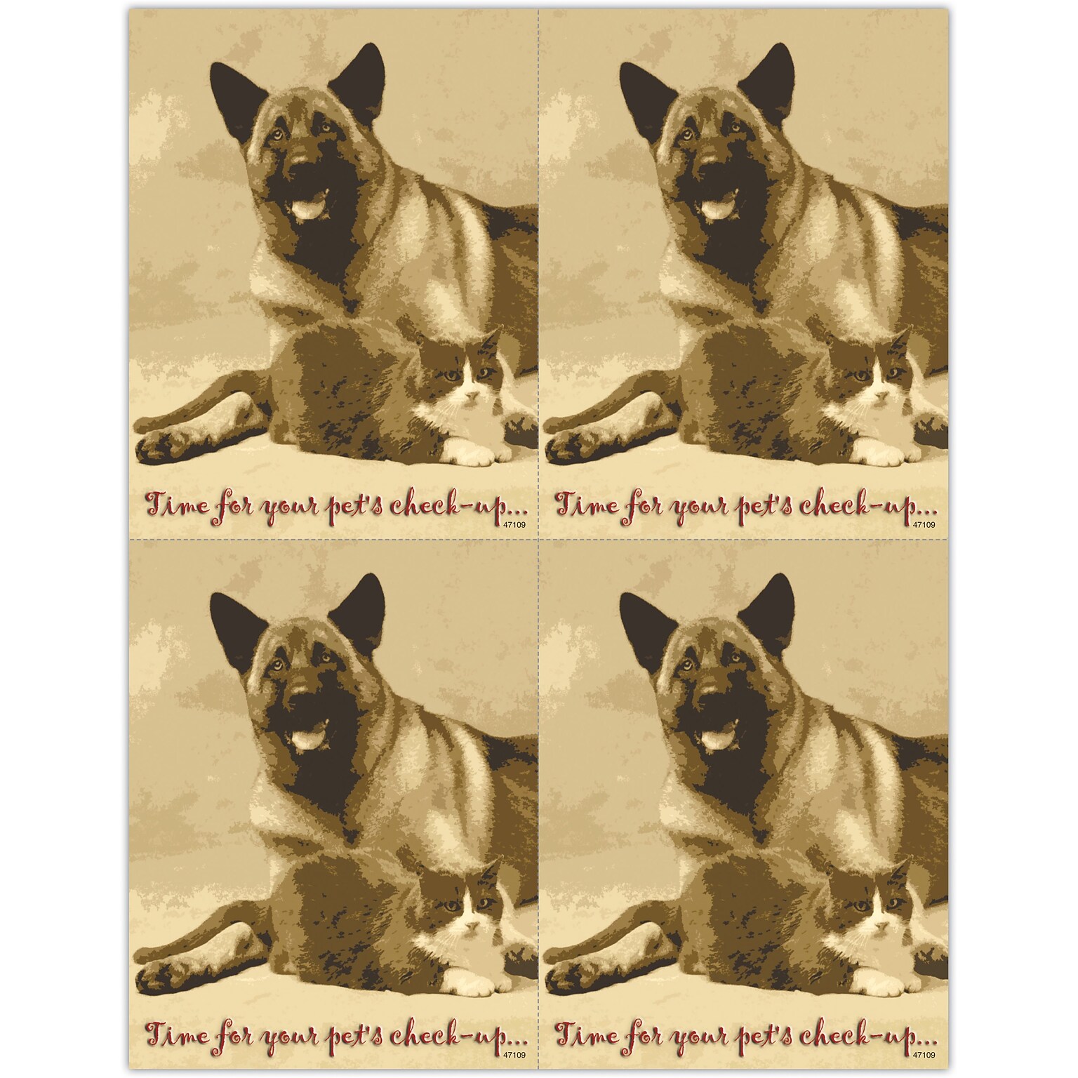 Veterinary Postcards; for Laser Printer; Time for Pets Check-up, 100/Pk