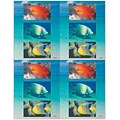 Scenic Laser Postcards, Tropical Fish, 100/Pk