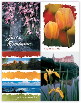 Generic Assorted Postcards; for Laser Printer; Floral, 100/Pk