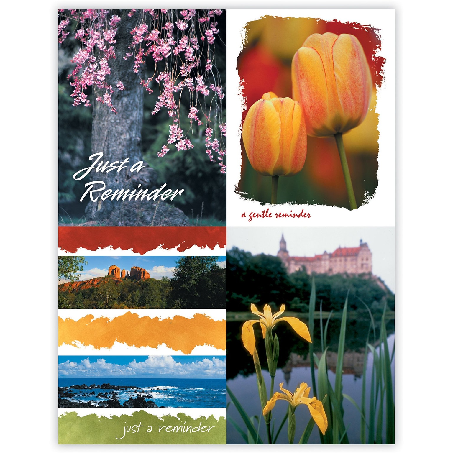 Generic Assorted Postcards; for Laser Printer; Floral, 100/Pk