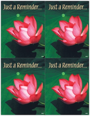 Generic Laser Postcards; Water Lily, 100/Pk