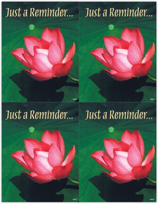 Generic Laser Postcards; Water Lily, 100/Pk