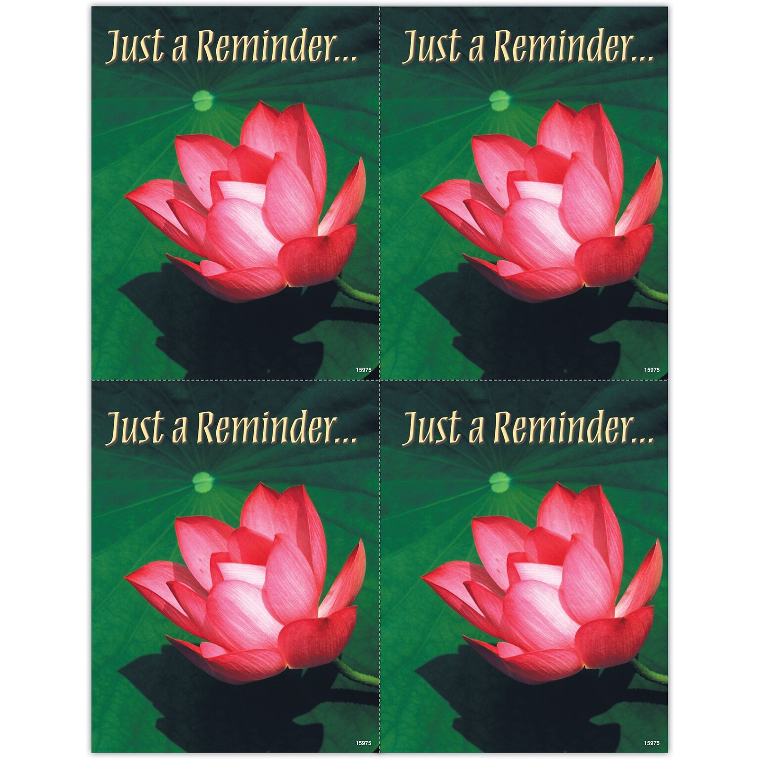 Generic Laser Postcards; Water Lily, 100/Pk