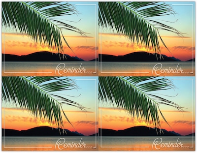 Scenic Postcards; for Laser Printer; Scenic Palm Reminder, 100/Pk