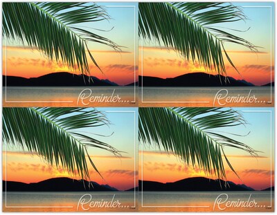 Scenic Postcards; for Laser Printer; Scenic Palm Reminder, 100/Pk